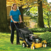 Cub Cadet Equipment